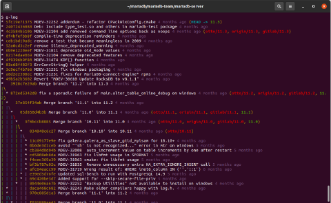 Advanced Git commands every senior software developer needs to know